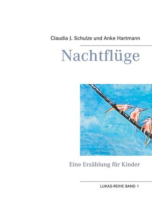 cover image of Nachtflüge